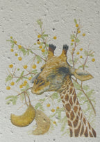 WACHSENDE GRUßKARTEN - TIERE