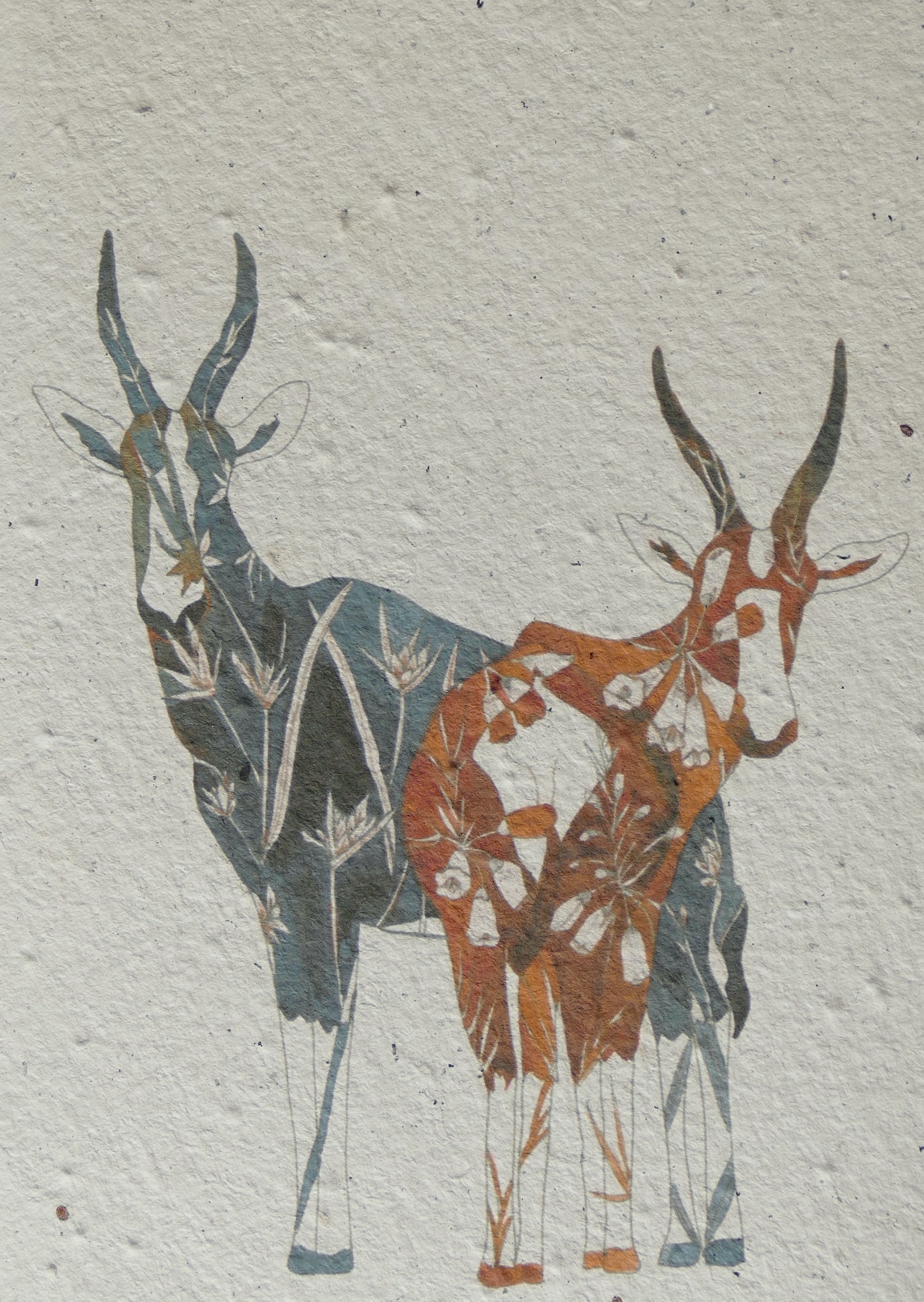 WACHSENDE GRUßKARTEN - TIERE