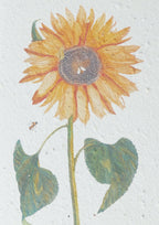 WACHSENDE GRUßKARTEN - BLUMEN