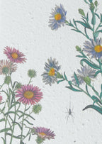 WACHSENDE GRUßKARTEN - BLUMEN