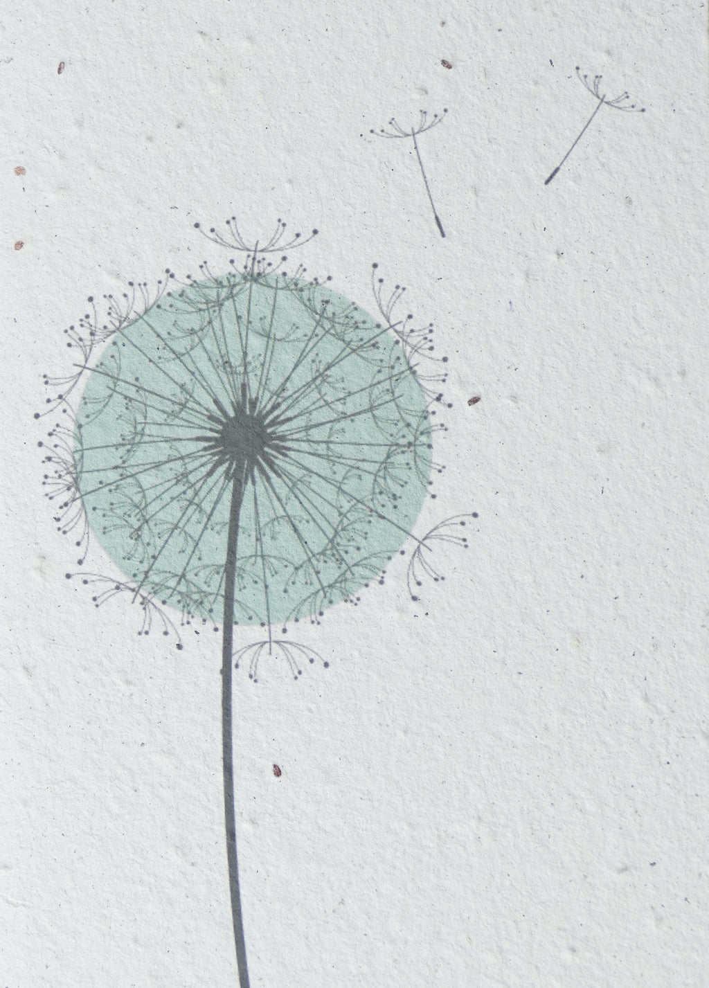WACHSENDE GRUßKARTEN - BLUMEN