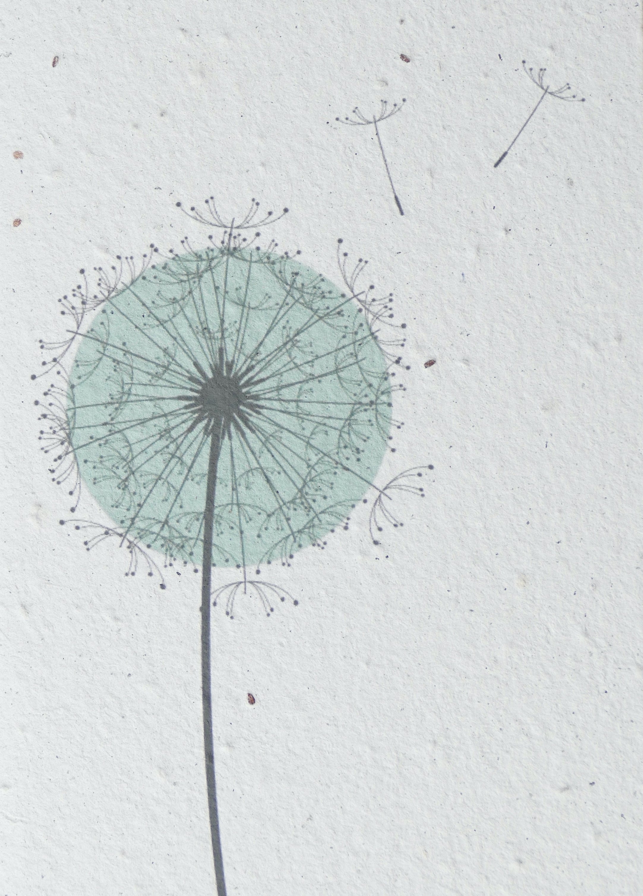 WACHSENDE GRUßKARTEN - BLUMEN