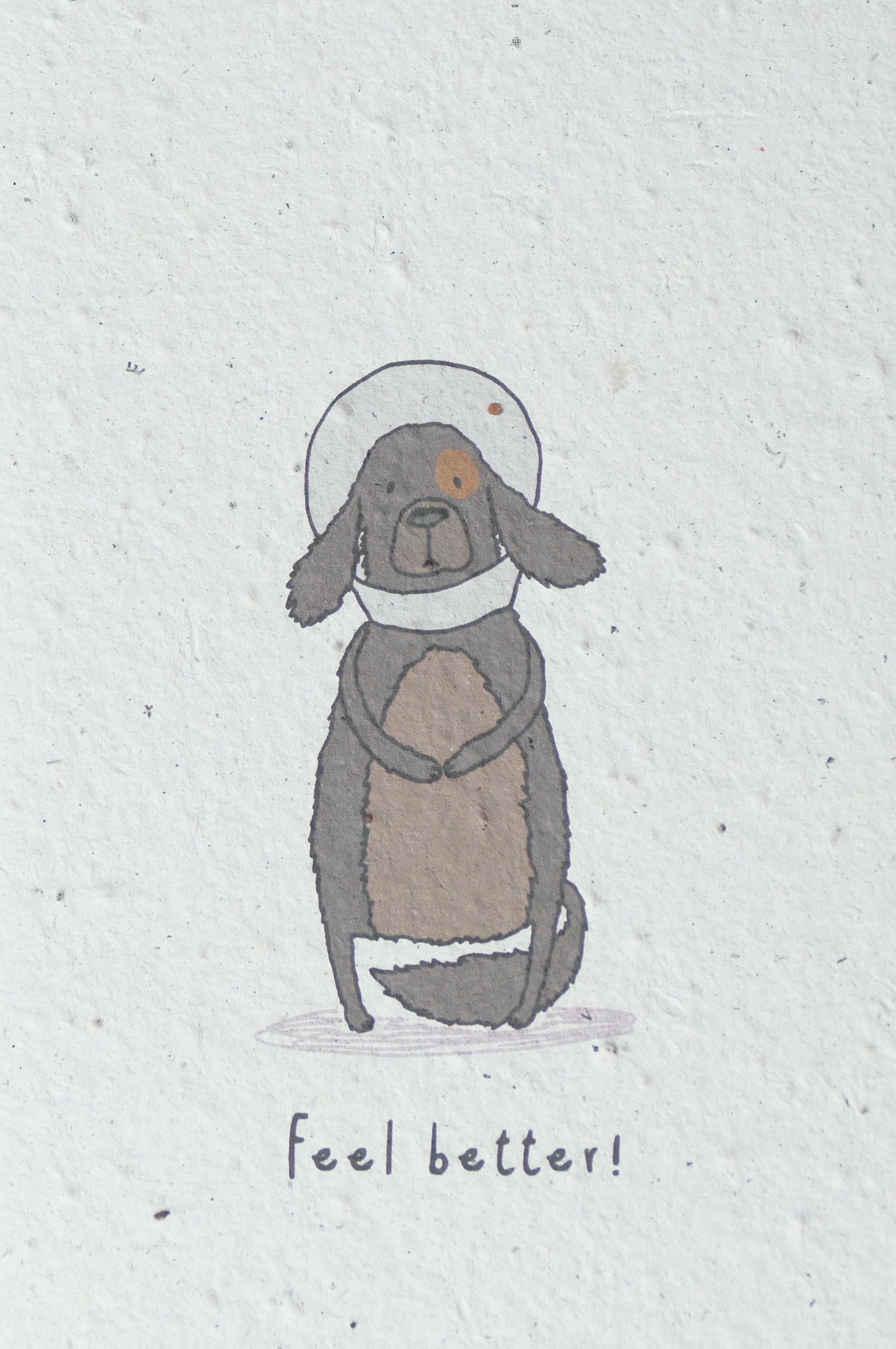 WACHSENDE GRUßKARTEN - TIERE
