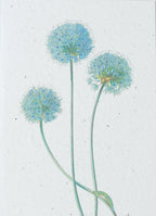 WACHSENDE GRUßKARTEN - BLUMEN